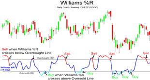 learning-williams-indicator